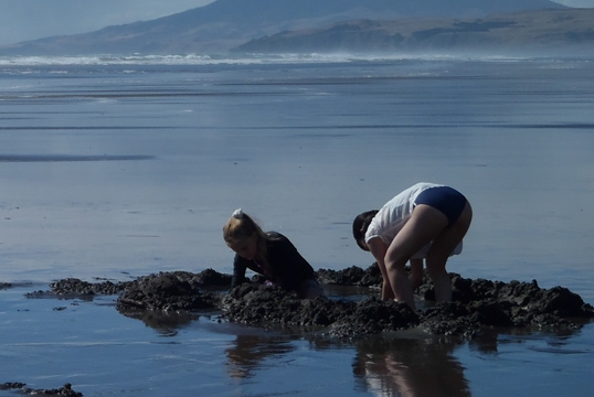 Kawhia Camping Ground location of Kawhia Camping Ground